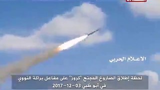 Houthi Rebels Claim to Launch Cruise Missile at Nuclear Power Plant in Dubai