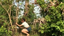 Creative Girl Using Amazing Spear fishing to Catch a Lot of Fish - Awesome Spear Fishing