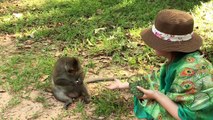 Tourist Girl Trying Funny With Monkey - Monkey Funny With Girl at Wild Angkor Thom