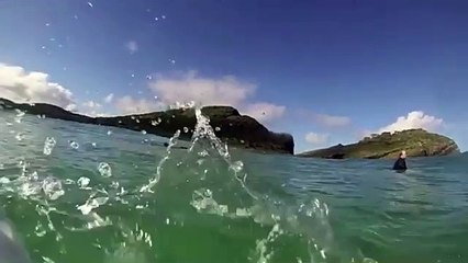 Un surfeur se rend compte qu’il y a un requin juste en dessous de lui (Australie)