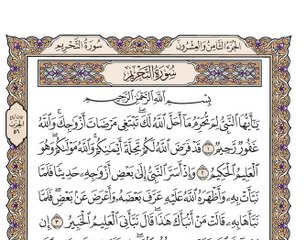 سورة التحريم بصوت الشيخ وديع اليمني