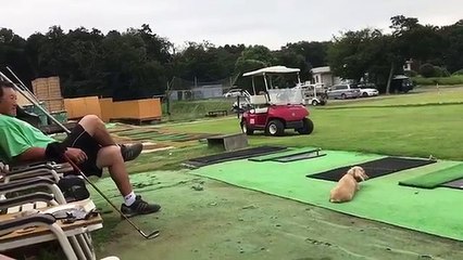 ジャンボ軍団 飯合プロ練習風景 久々の今井プロ(*•̀ᴗ•́*)و ̑̑