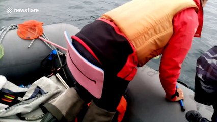 Volunteers enjoy 'emotional' encounter with orca off Russia's Far East