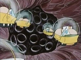 Era uma vez EP22 - Os Neurónios