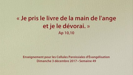 1749 - Moments de cellule - 3