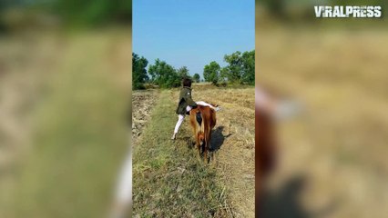Funny Cow Riding Fail