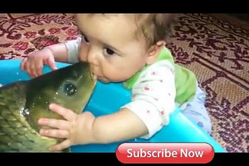 World Masti Fun Videos Series 2 Baby Vs. Fish
