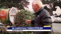 19 Christmas Trees Stolen from Virginia Family's Business