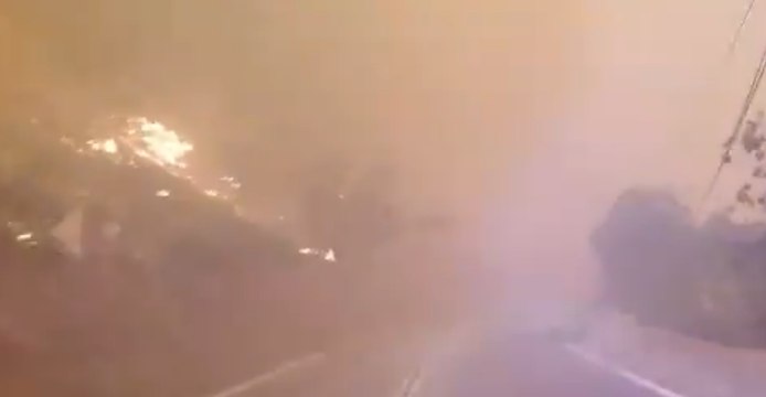 Los Angeles County's Fast-Moving Creek Fire Prompts Evacuations