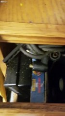 Roaches making the walls move!