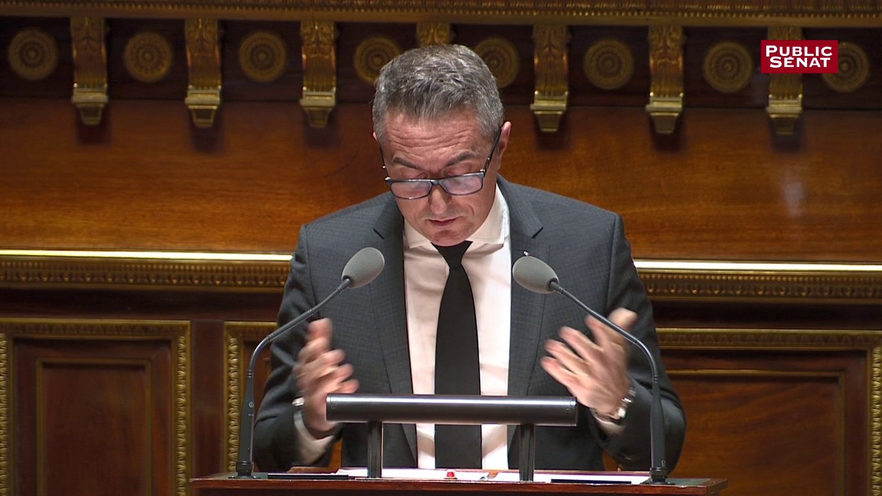 Stéphane Ravier : "Le gouvernement s'emploie à détruire la France"