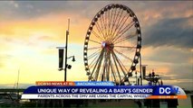 Couple Uses Ferris Wheel to Reveal Baby's Gender