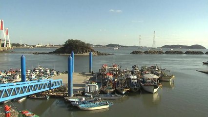 사고 직격탄...영흥도 주민 '걱정 한숨' / YTN