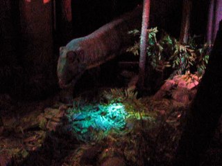 Autour des dinosaures (1)