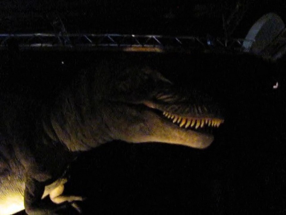 Autour des dinosaures (2)