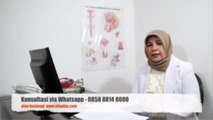 Vitaplas – Herbal untuk Meningkatkan Stamina Pria