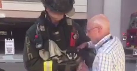 Tiny Dog Rescued From Orlando Parking Garage Fire