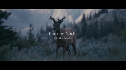 Journey North: A Canadian G-Class Road Trip.