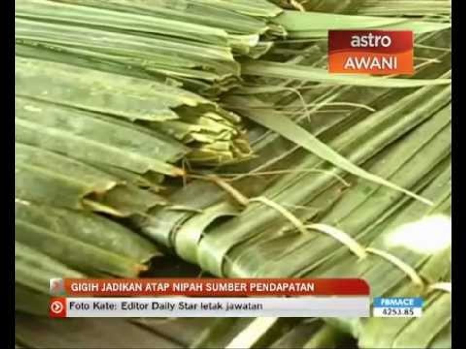 Atap nipah masih mendapat sambutan