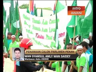 Perkembangan PRU-13: Pekan, Pahang