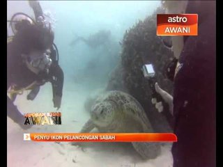 Penyu jadi ikon pelancongan Sabah