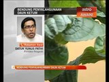 Bendung penyalahgunaan daun ketum