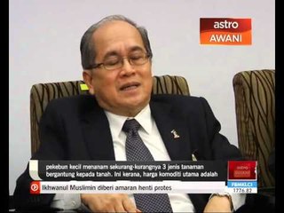 Keluasan penanaman koko bakal bertambah menjelang 2020