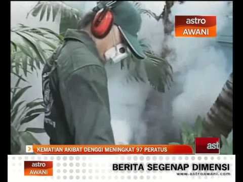 Kematian akibat denggi meningkat 97%