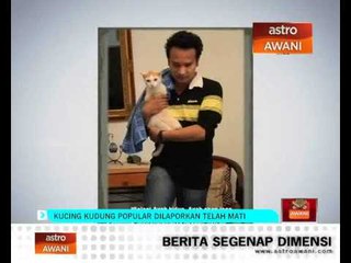 Kucing kudung popular dilapor telah mati