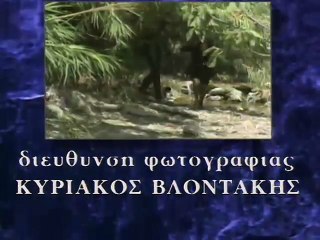 Ταύρος με Τοξότη - Επεισόδιο 12ο