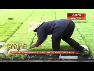 PAS minta kerajaan pusat pertimbang naik subsidi padi