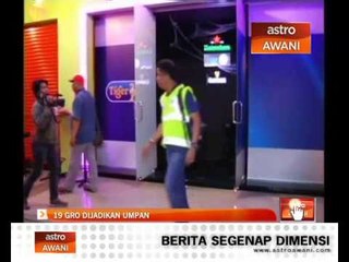 13 GRO dijadikan umpan