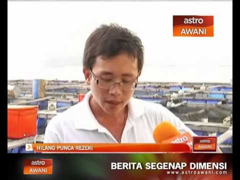 Penternak ikan hilang punca rezeki