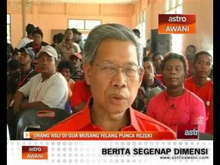 Orang asli di Gua Musang hilang mata pencarian