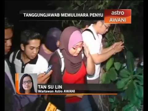 Hari Penyu Sedunia: Tanggungjawab memulihara penyu