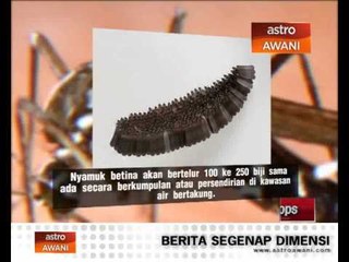 Tanda-tanda demam denggi