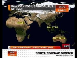Lokasi penemuan fosil timbul tanda tanya