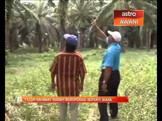 Felda Sahabat sudah beroperasi seperti biasa
