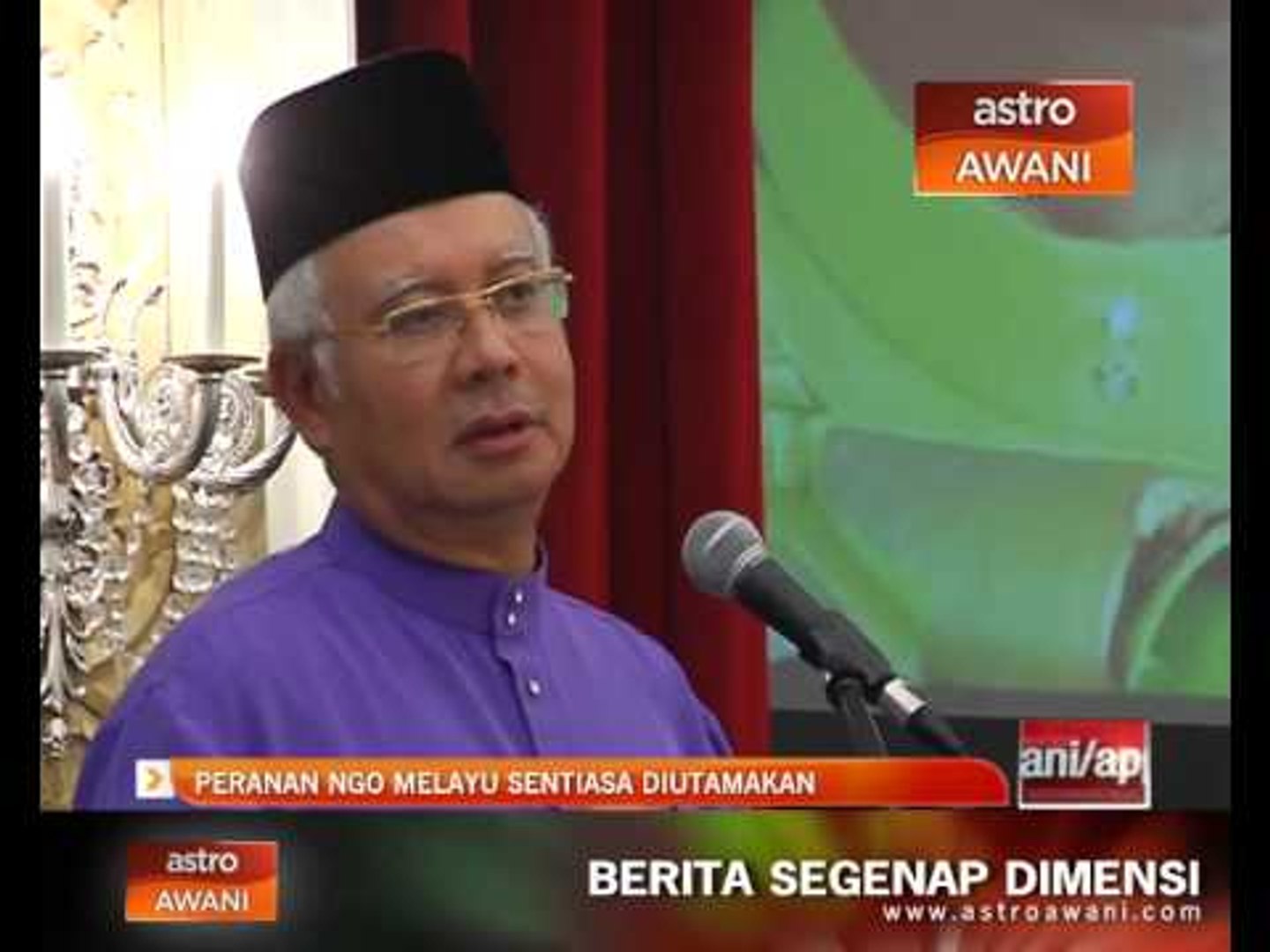 Peranan NGO Melayu sentiasa diutamakan