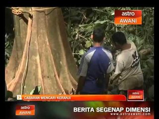 Cabaran mencari keranji