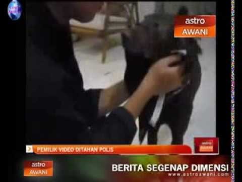 Pemilik video hina Islam ditahan polis