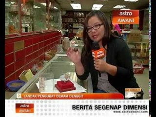 Landak pengubat demam denggi?