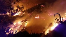 Thomas Fire Scorches Over 50,000 Acres in Ventura, California