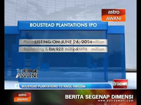 Boustead Plantations to raise RM928 million