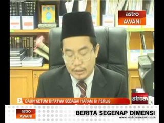Daun ketum difatwa sebagai haram di Perlis