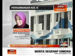 Jabatan veterinar uji sampel darah babi