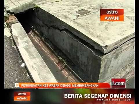 Peningkatan kes wabak denggi membimbangkan