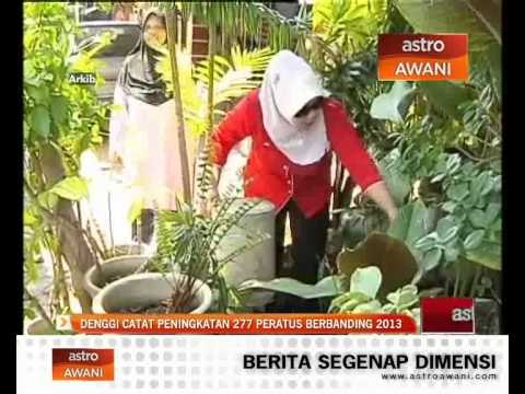 Denggi catat peningkatan 277 peratus berbanding 2013