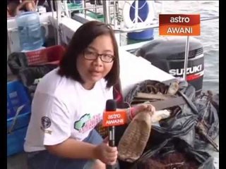 Plastik ancaman utama hidupan marin