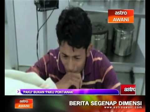 'Paku' bukan 'paku pontianak'